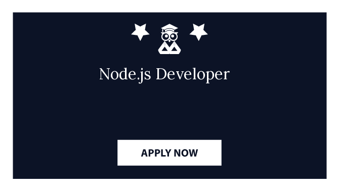 Node.js Developer 