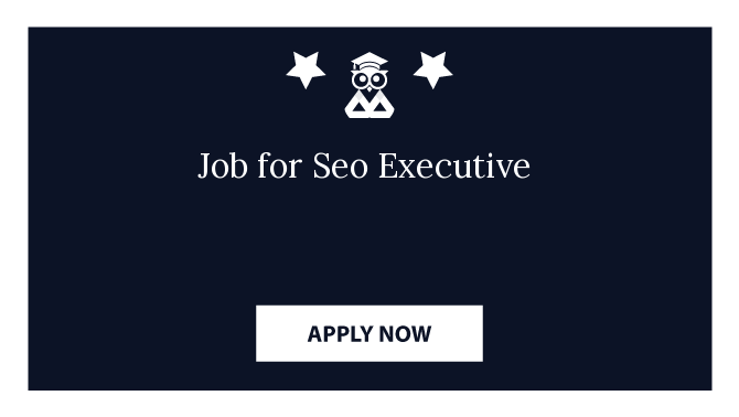 Job for Seo Executive