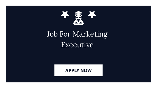 Job For Marketing Executive
