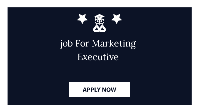 job For Marketing Executive