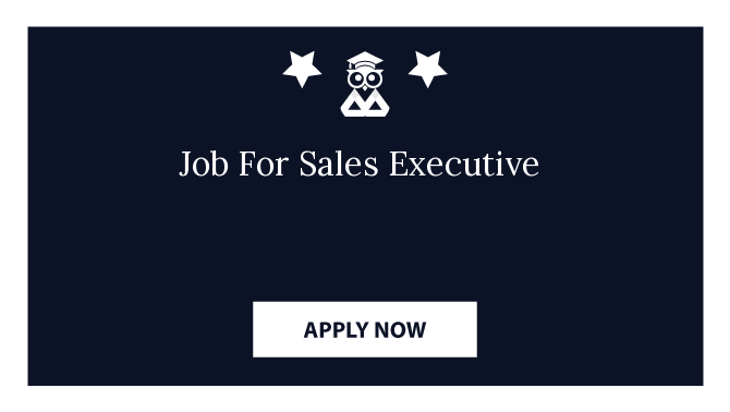 Job For Sales Executive