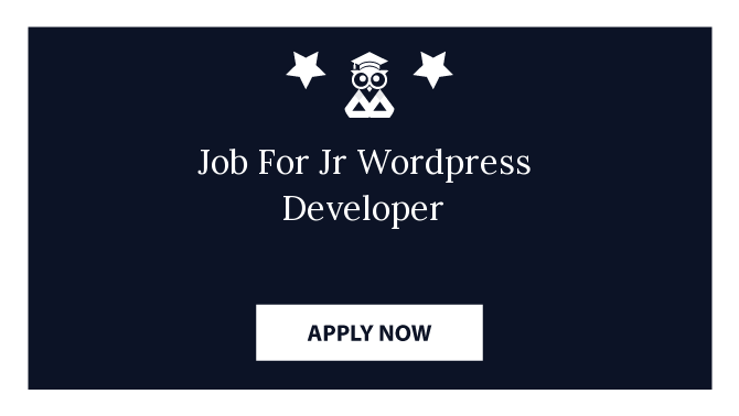 Job For Jr Wordpress Developer