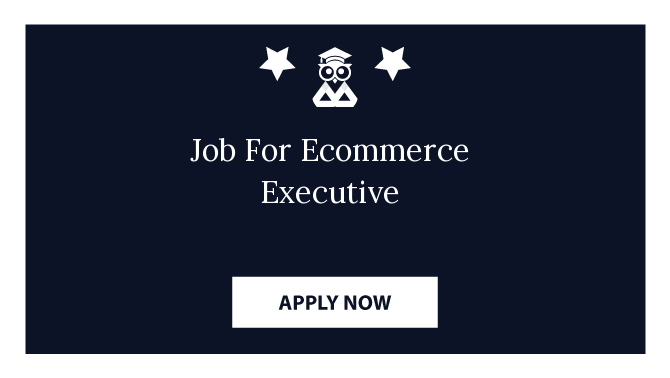 Job For Ecommerce Executive
