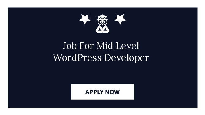 Job For Mid Level WordPress Developer
