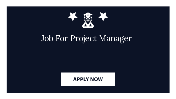 Job For Project Manager