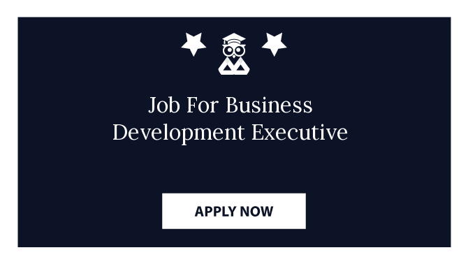 Job For Business Development Executive