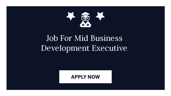 Job For Mid Business Development Executive