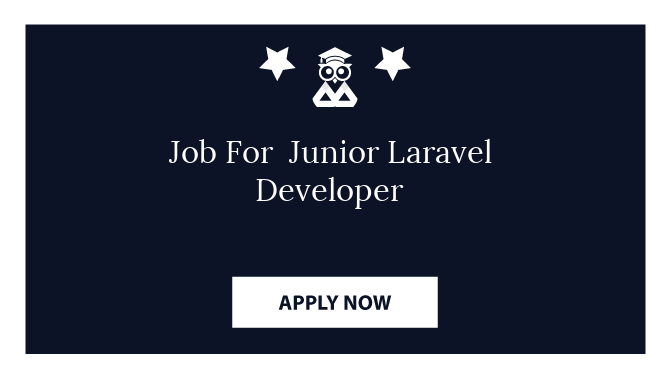 Job For  Junior Laravel Developer