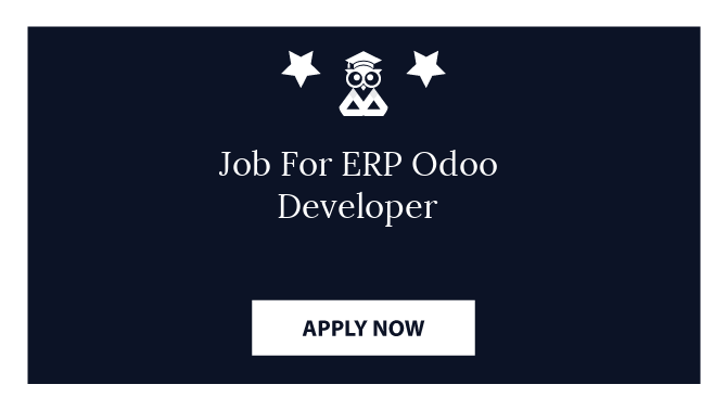 Job For ERP Odoo Developer