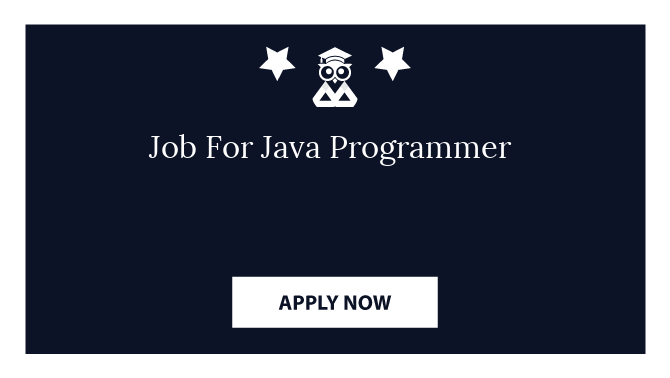 Job For Java Programmer