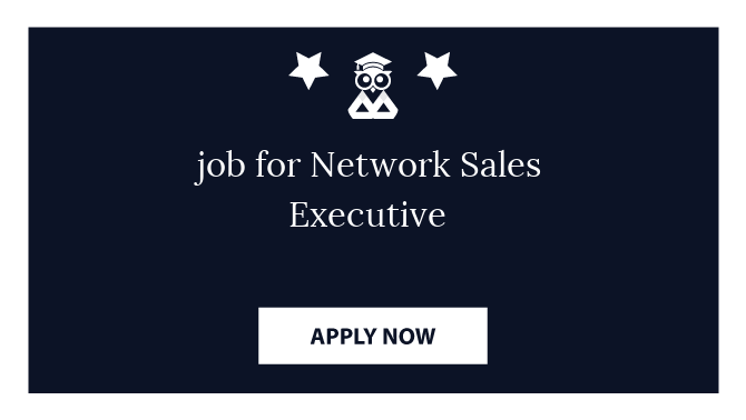 job for Network Sales Executive