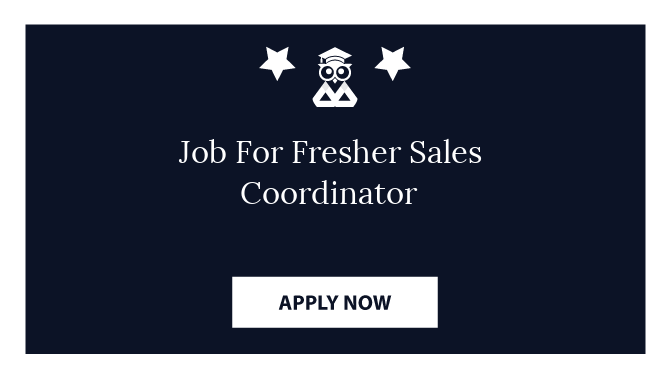 Job For Fresher Sales Coordinator