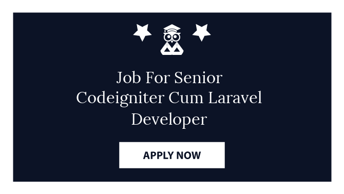 Job For Senior Codeigniter Cum Laravel Developer