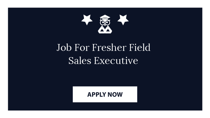 Job For Fresher Field Sales Executive
