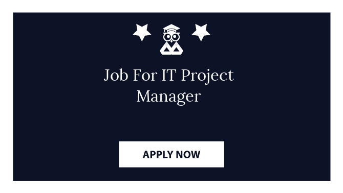 Job For IT Project Manager