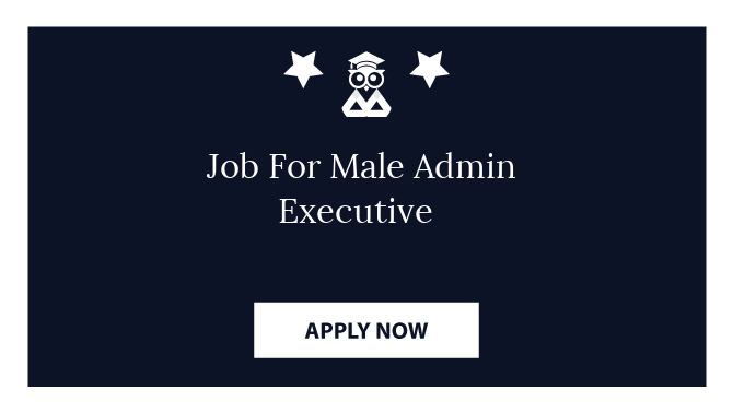 Job For Male Admin Executive 