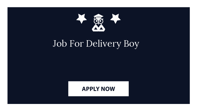 Job For Delivery Boy 