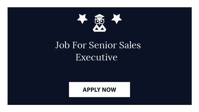 Job For Senior Sales Executive 