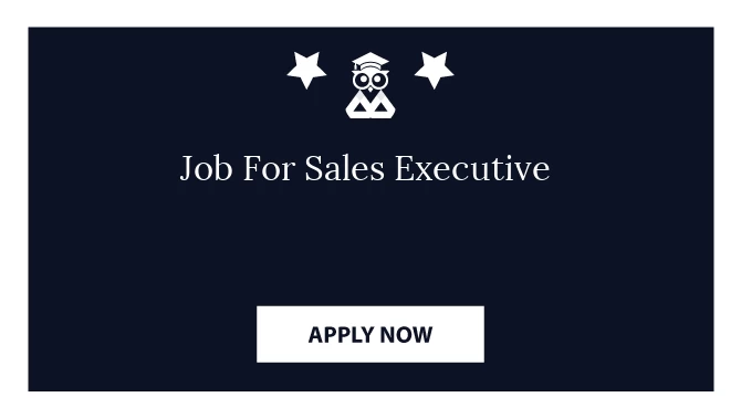 Job For Sales Executive