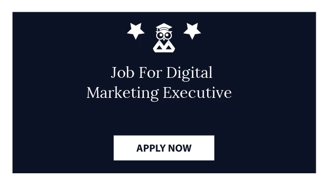 Job For Digital Marketing Executive 