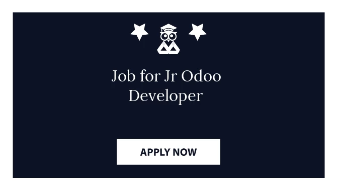 Job for Jr Odoo Developer