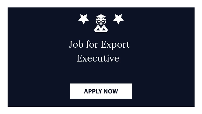 Job for Export Executive 