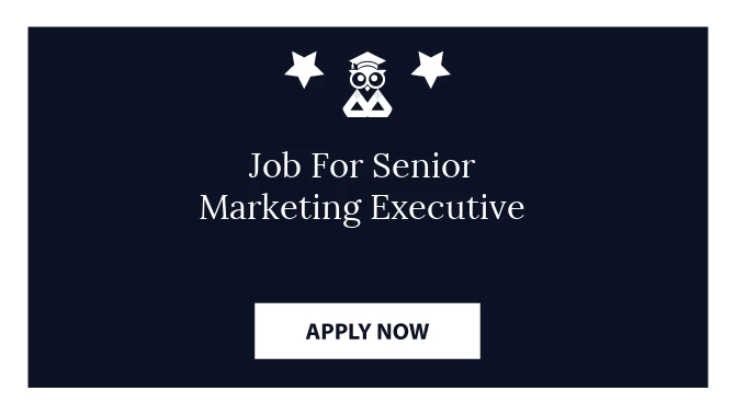 Job For Senior Marketing Executive