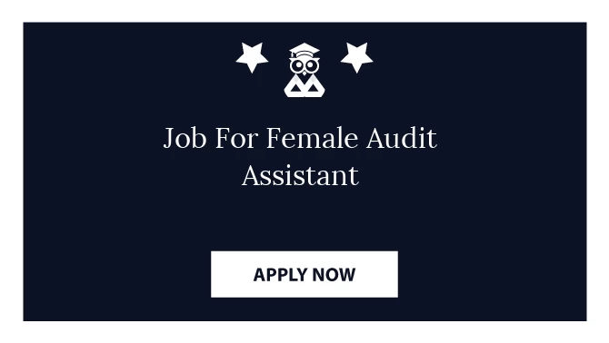 Job For Female Audit Assistant