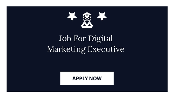 Job For Digital Marketing Executive