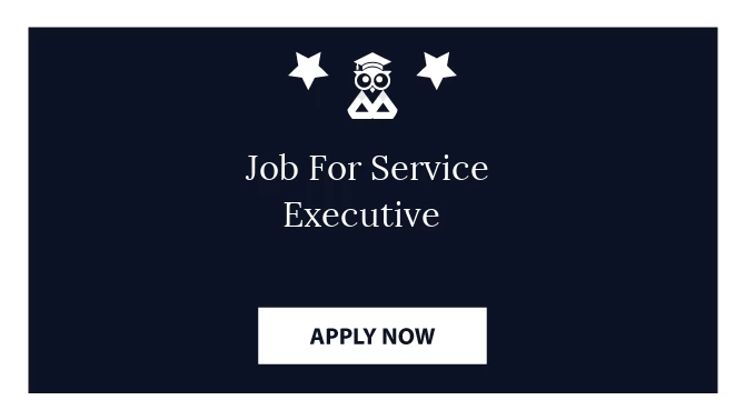Job For Service Executive 