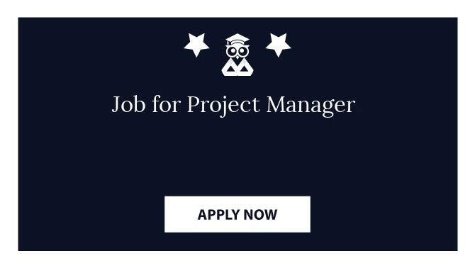 Job for Project Manager 