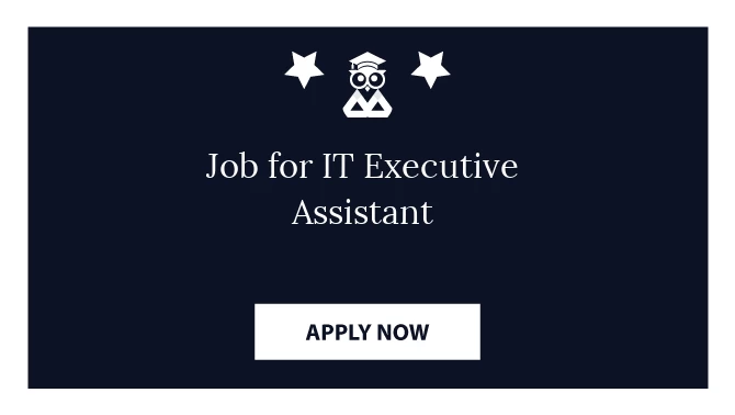 Job for IT Executive Assistant