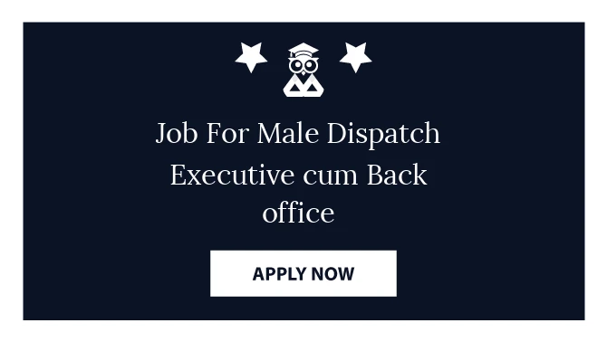 Job For Male Dispatch Executive cum Back office