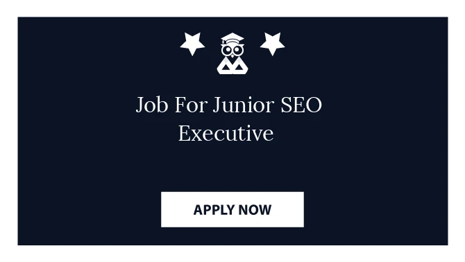 Job For Junior SEO Executive 