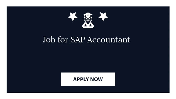 Job for SAP Accountant