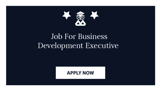 Job For Business Development Executive 