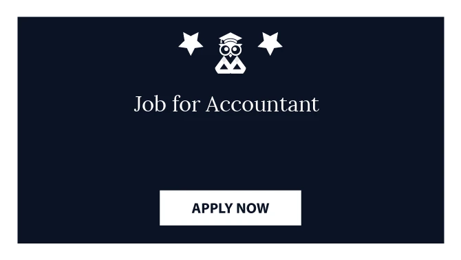 Job for Accountant