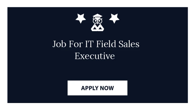 Job For IT Field Sales Executive 