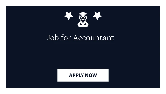 Job for Accountant 