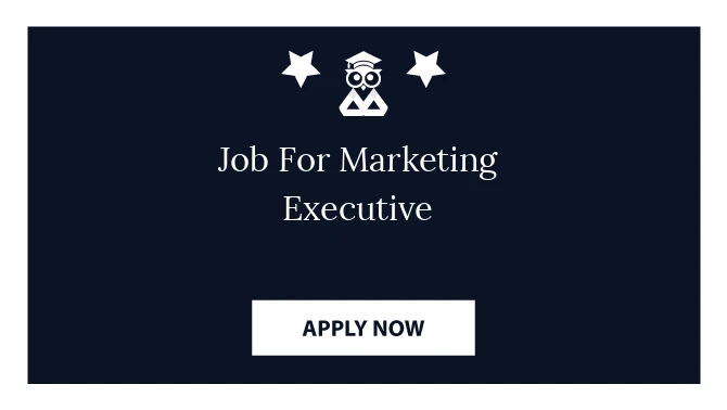 Job For Marketing Executive