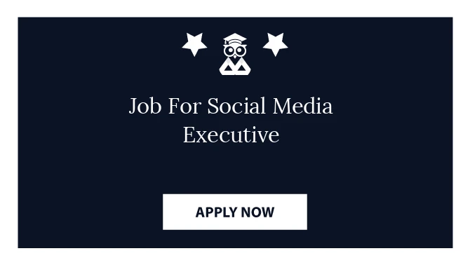 Job For Social Media Executive