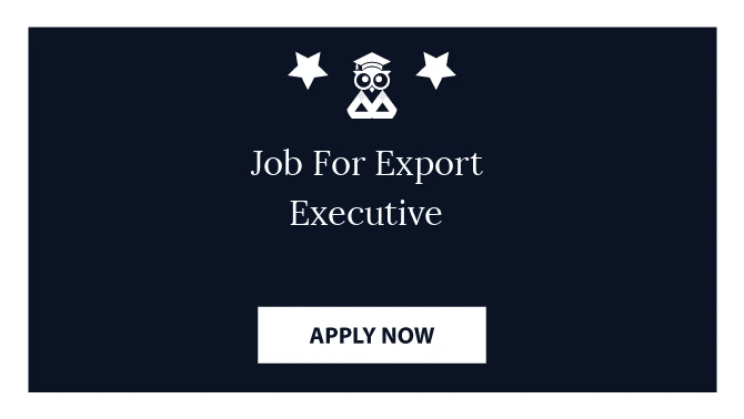 Job For Export Executive