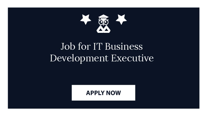 Job for IT Business Development Executive