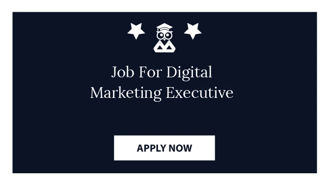 Job For Digital Marketing Executive