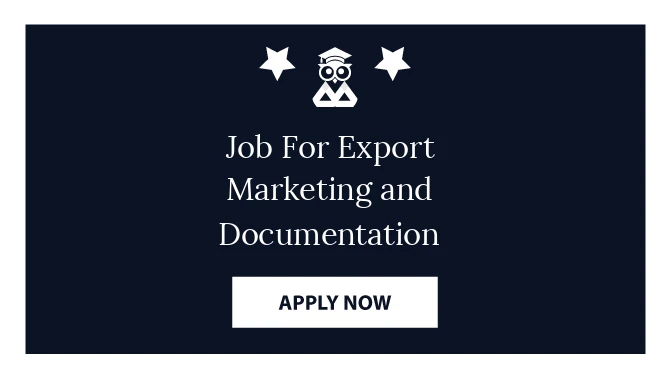 Job For Export Marketing and Documentation