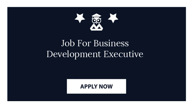 Job For Business Development Executive