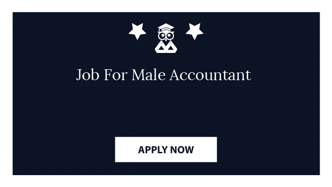 Job For Male Accountant