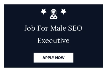 Job For Male SEO Executive