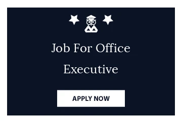 Job For Office Executive
