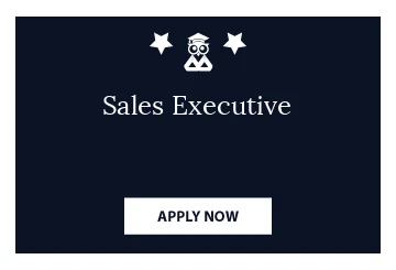 Sales Executive